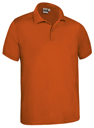 Polo Tecnica
